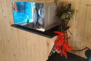 Mandarinka Mini-Hotel, Thubun