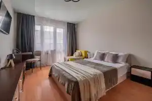 Na Bakinskikh Komissarov 107 Flat, Ekaterinburg