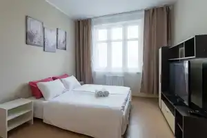 Dvukhkomnatnaya V Tsentre Kolomny Flat, Kolomna