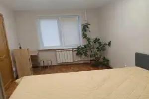 Uyutnaya Tikhaya V Tsentre Flat, Pskov