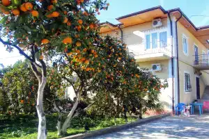 Gayane Guest house, Novyjj Afon