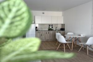 Uyutnaya Dvushka s Vidom na Ozero Flat, Petrozavodsk