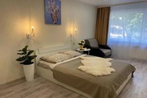 Uyutnaya s vidom na bulvar Pirogova Flat, Vologda