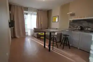 Domashniy Uyut Apartments