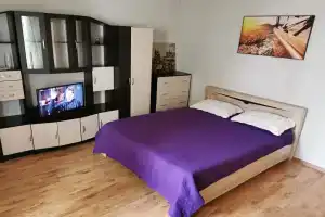 V Parkovom V Tsentre Severo-Zapada Apartment, Chelyabinsk