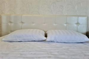 Chetyrekhkomnatnye v Tsentre Apartments