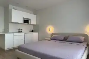 Svetlaya studiya u metro Gorki Apartments