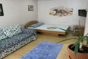 Odnokomnatnaya Flat, Ishim