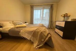 Flat V Tsentre, Mytishchi