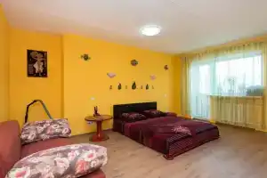 Na Vaynera 66a 1 Flat, Ekaterinburg