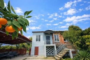 Dlya Semyi ili Kompanii s Citrusovym Sadom Private House, Sukhumi