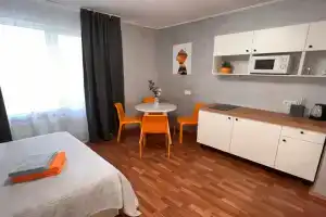 Studiya Okolo Metro Proletarskaya Flat