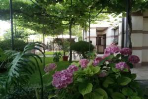 Bellehouse Guest House, Chernomorets