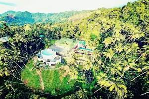 The Flame Tree Estate&Hotel, Kandy