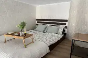 Studiya V Istoricheskom Tsentre Samary Flat, Samara