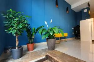 Luxury Avlabar Apartment, Tbilisi