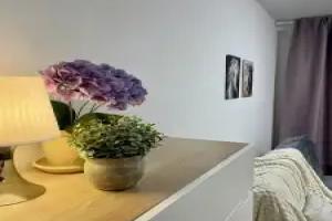 Na Kashtanovoy 4 Flat, Odintsovo