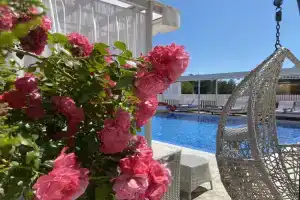 Cromwell White Hotel, Olginka