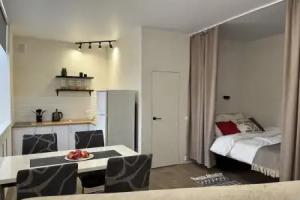 Studiya U Kinoteatra Spartak Apartments, Voronezh