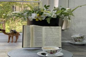 U Tsentralnogo Parka Flat, Kaliningrad