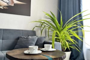 Salvador V Zhk Barselona Flat, Velikiy Novgorod