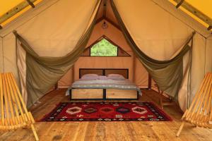 Caspian Camp, Chabazimakhi