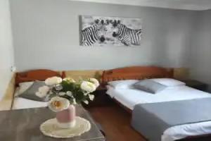Zebra V Lazarevskom Apartments, Lazarevskoye