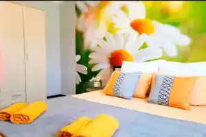 Studiya Pogostim Flat, Chebarkul'