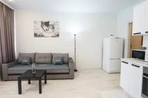 Inndays na Pryanichnoy 4 Apartments, Tula