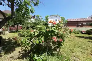S Basseynom Malika Guest house, Arkhipo-Osipovka