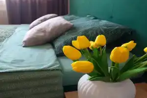 Okolo Ledovogo dvortsa Apartments, Ryazan