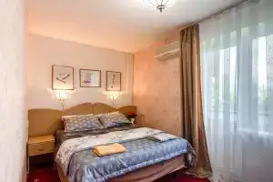 V Istoricheskom Tsentre Flat