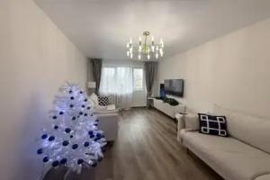 Dvushka v Tsentre Flat, Kolomna