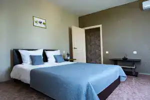 Svetlye apartamenty u avtovokzala Apartments, Voronezh