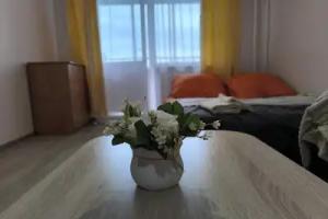 Uyutnaya Studiya V Zelyonoy Zone Flat, Izhevsk