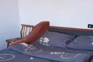 Na Antikaynena 12A Flat, Segezha