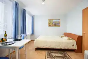 Daniliha Studiya Apartments 1, Perm