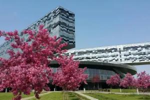 Tyan Shan - Pamir, Skolkovo