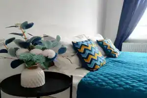 Studiya Na Veteranov Apartments