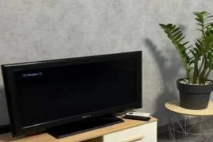 Tut Kak Doma Flat, Pavlovsk