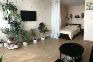 Uyutnaya 1-Komnatnaya V Camom Tsentre Goroda Flat, Ekaterinburg