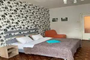 Domashniy Minimalizm Flat, Pushkin