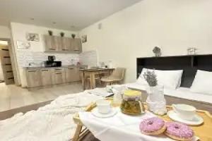 Uyutnaya Studiya Ryadom S TTS Siti Park 29 Kv.m 3 Etazh Apartments, Saransk