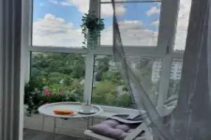 S Vidom Na Balashikhu Flat, Balashikha