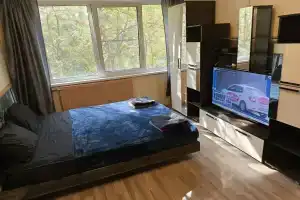 Uyutnaya Tikhiy Zelyony Rayon prosvescheniya Flat, Pargolovo