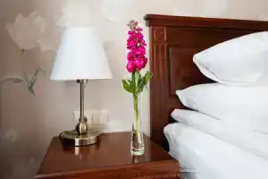 Severnyi Tsvetok Boutique Hotel, St. Petersburg