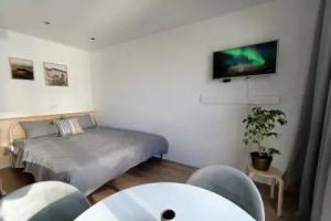 Vinograd Flat, Mytishchi