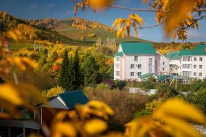 Lechebno-ozdorovitelnyj Kompleks Dolina Altaya Health Resort, Danilovka
