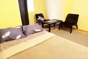 Na Ulitse Novokosinskaya 14k2 Flat, Moscow