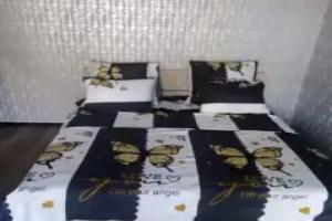 Odnokomnatnye Kranostroiteley 28 Apartments, Rshew